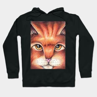 Orange and Brown Cat Hoodie